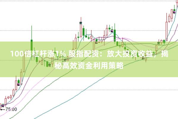 100倍杠杆涨1% 股指配资：放大投资收益，揭秘高效资金利用策略