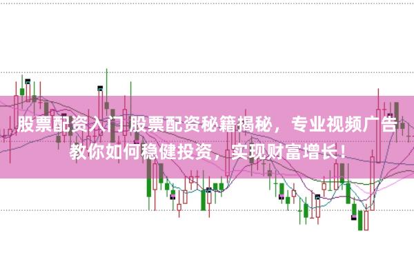 股票配资入门 股票配资秘籍揭秘，专业视频广告教你如何稳健投资，实现财富增长！