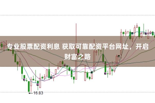 专业股票配资利息 获取可靠配资平台网址，开启财富之路