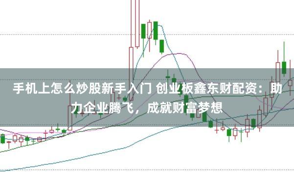 手机上怎么炒股新手入门 创业板鑫东财配资:助力企业腾飞,成就财富梦想