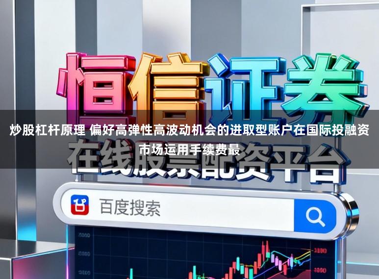 炒股杠杆原理 偏好高弹性高波动机会的进取型账户在国际投融资市场运用手续费最